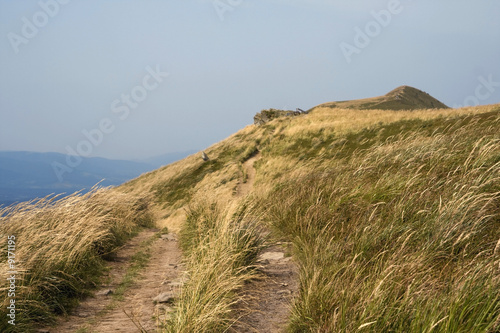 Narrow tourist trail among mountain meadows