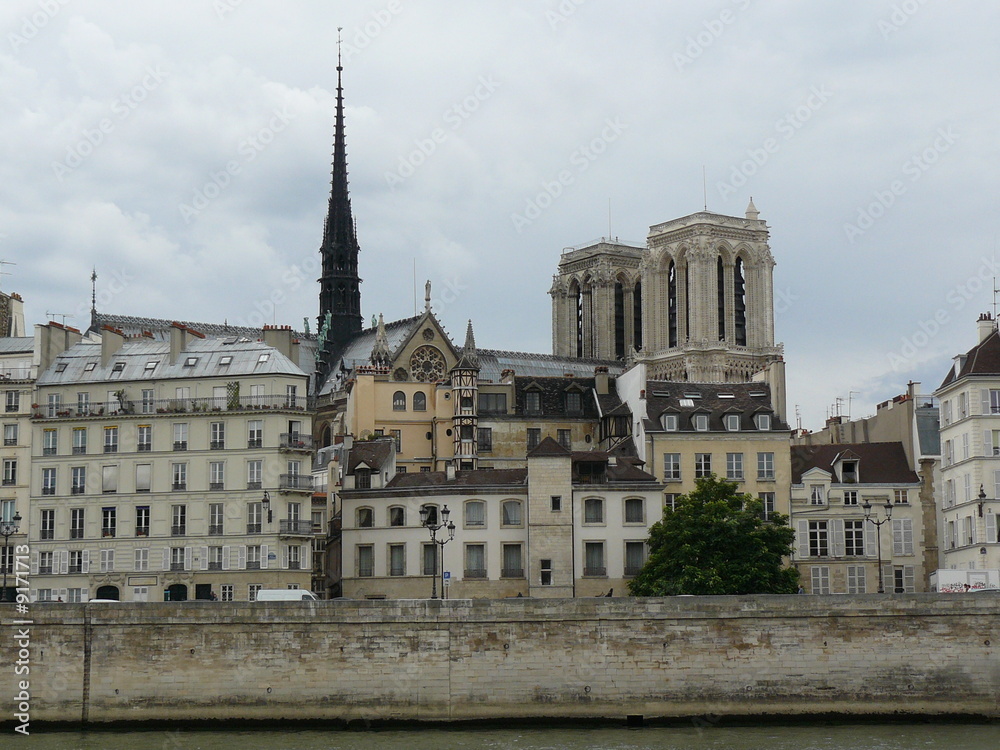 Obraz premium Paris - Ile de la Cité