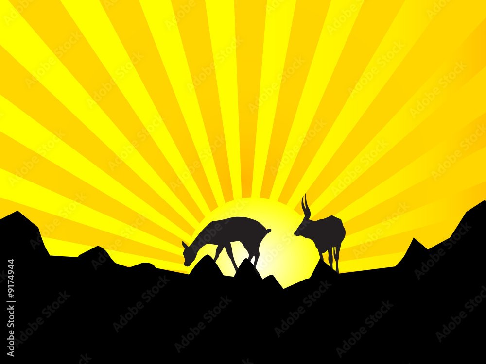 nature illustration