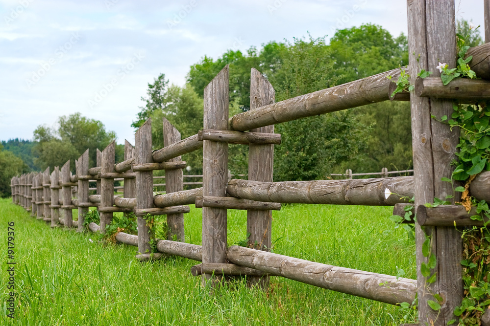 fence in the field fence in the field