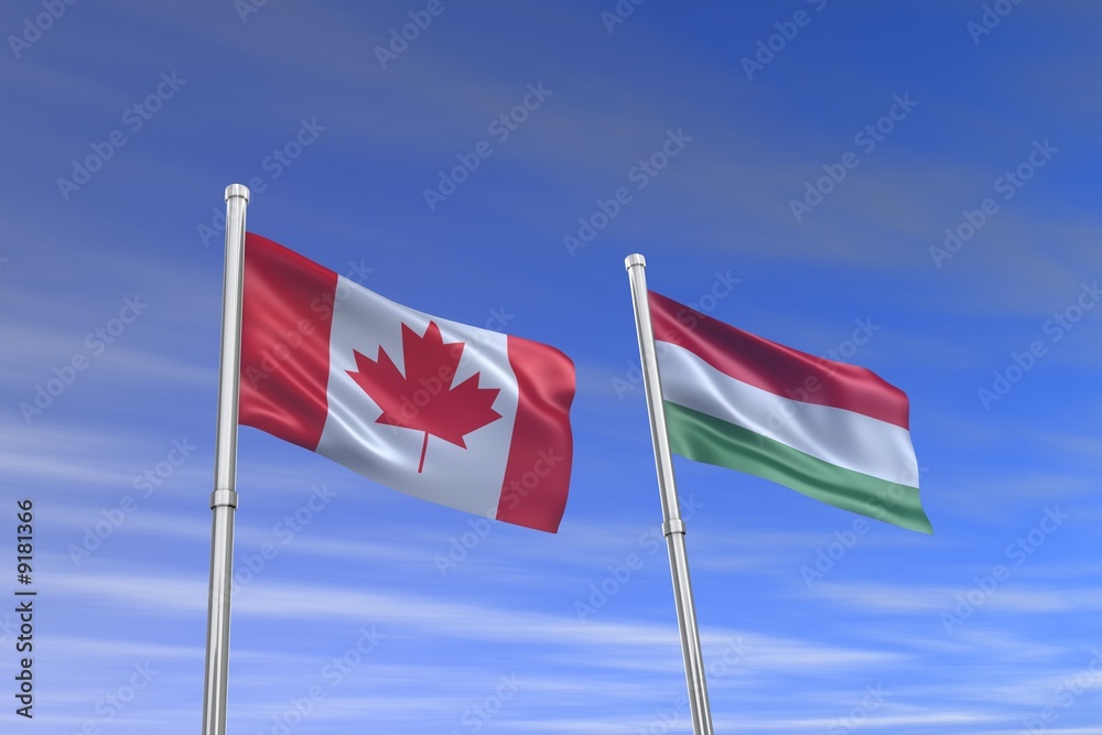 canada and italy flag in the wind canada and italy flag in the wind