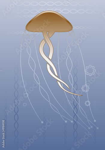 Celtic jellyfish