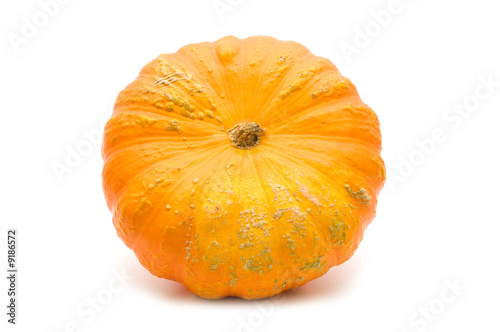 Wallpaper Mural perfect pumpkin on white background Torontodigital.ca