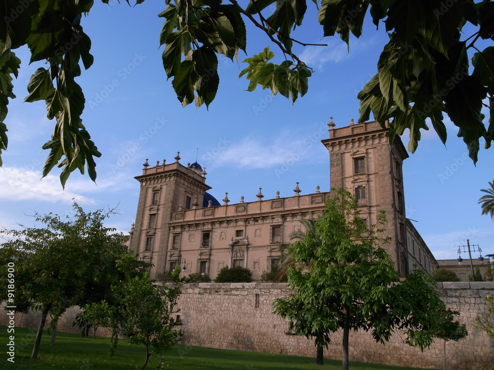 Fototapeta premium museo de bellas artes san Pio V enmarcado por arboles