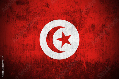 Weathered Flag Of Tunisia, fabric textured #9187114