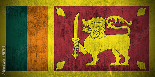 Weathered Flag Of Sri Lanka, fabric textured