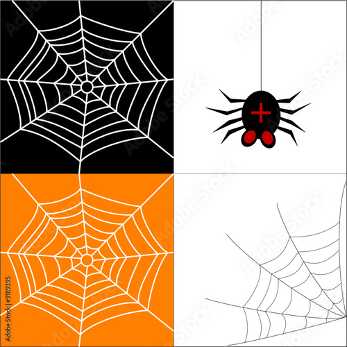 spider web