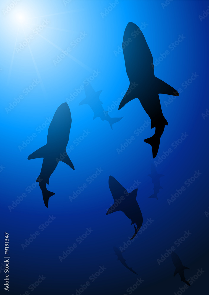 Fototapeta premium Deep blue shark background