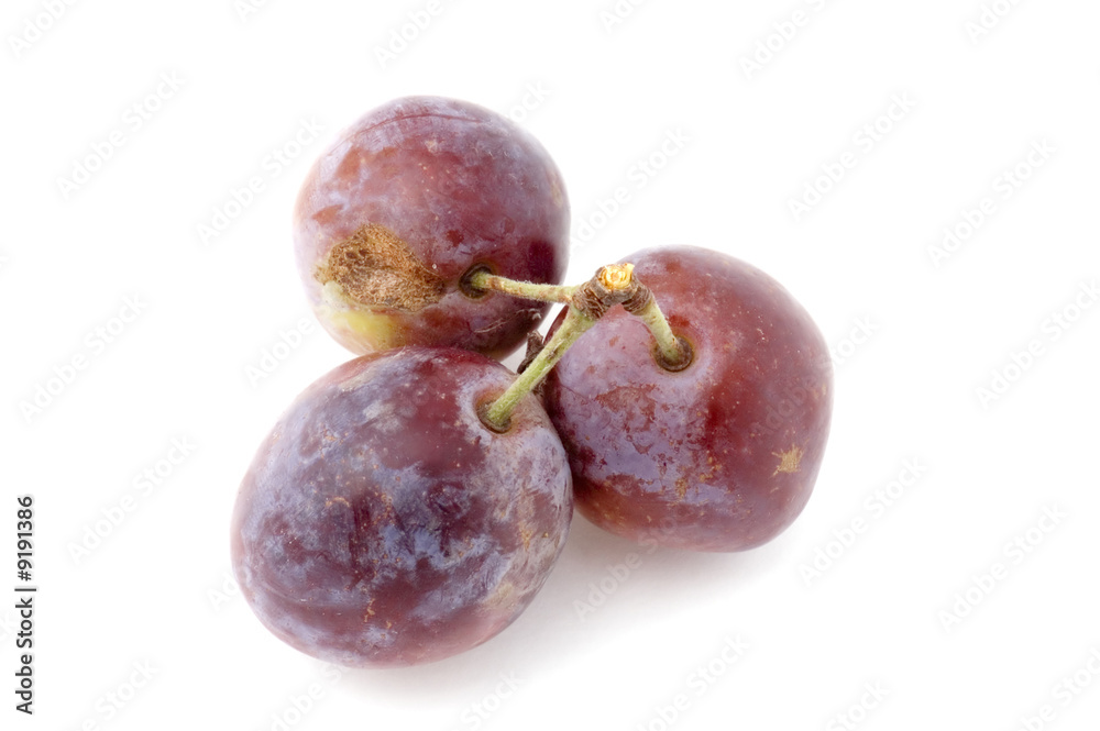 object on white - food plum-tree