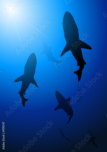 Deep blue shark background