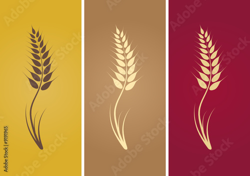 wheat
