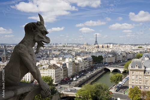Gargoyle looking toward Eiffel Tower at Notre Dame in Paris