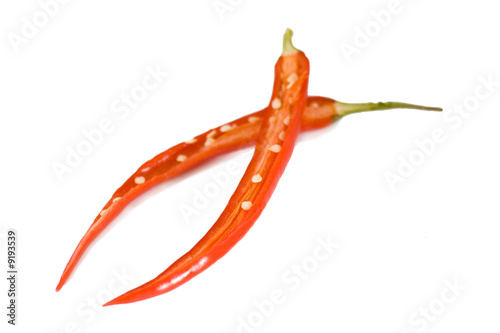 two red hot peppers on the white background
