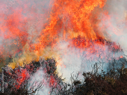 Raging Bush fire