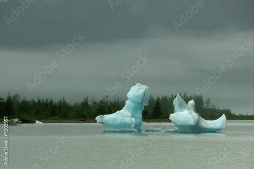 Icebergs broken away from Mendenhall Glacier
