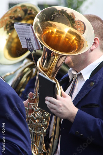 Obraz na płótnie Tuba w salonie