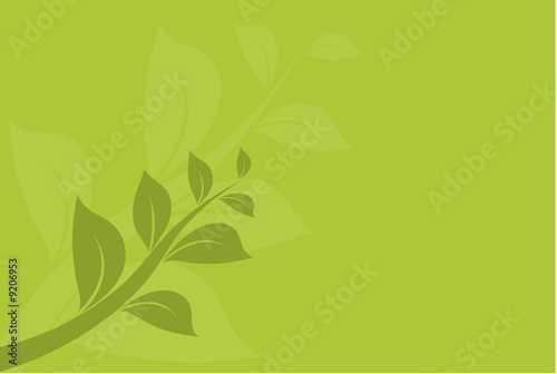 vecteur s  rie et ornement  plante vectoriel sur un fond vert