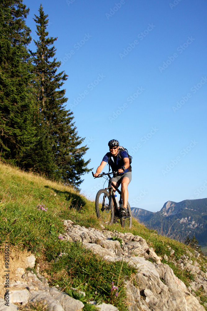 Fototapeta premium Mountainbiker in den Alpen