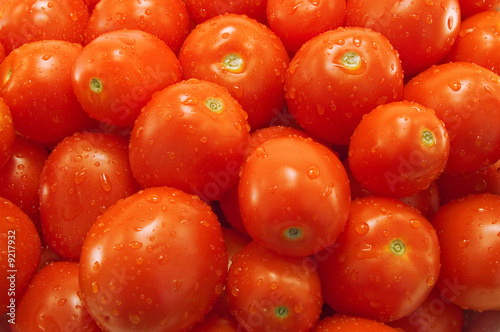 red ripe tomato close up