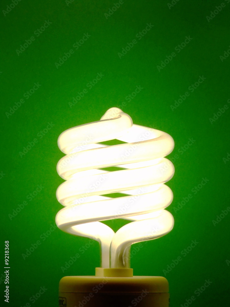 Energy-Saving Light Bulb Energy-Saving Light Bulb