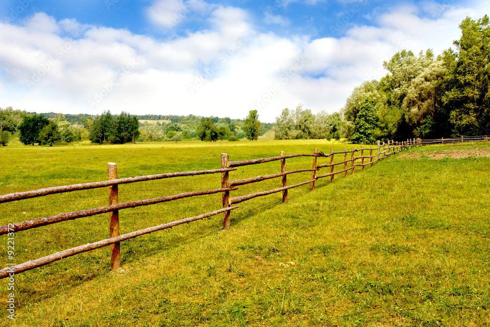 Meadow with fence and blue sky.