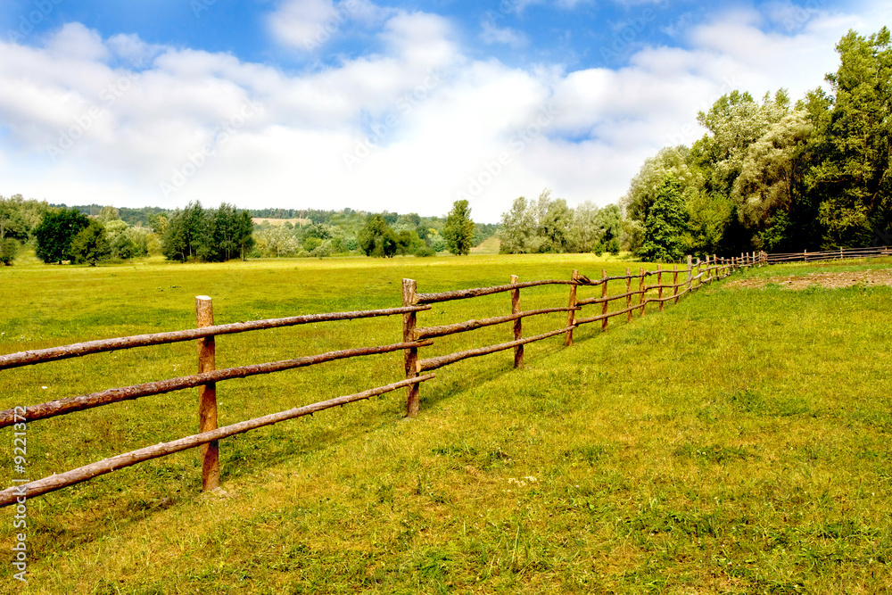 Meadow with fence and blue sky. Meadow with fence and blue sky.