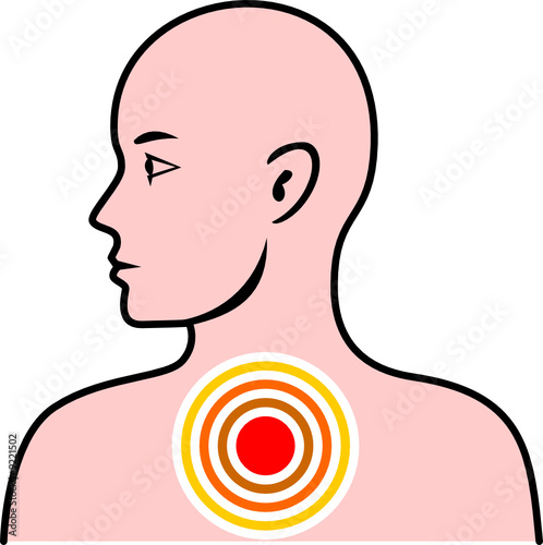 Human anatomy side view