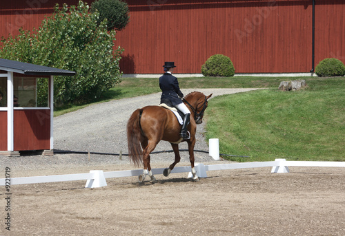 Dressage with beautiful brown horse and rider
