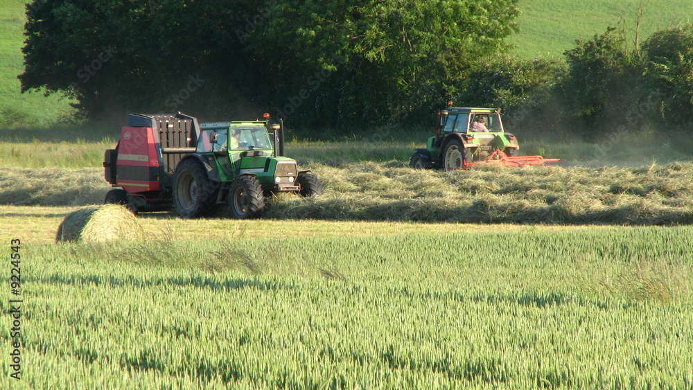 Obraz premium ramassage du foin