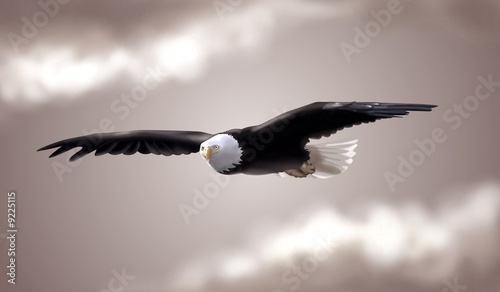 eagle in sky photo