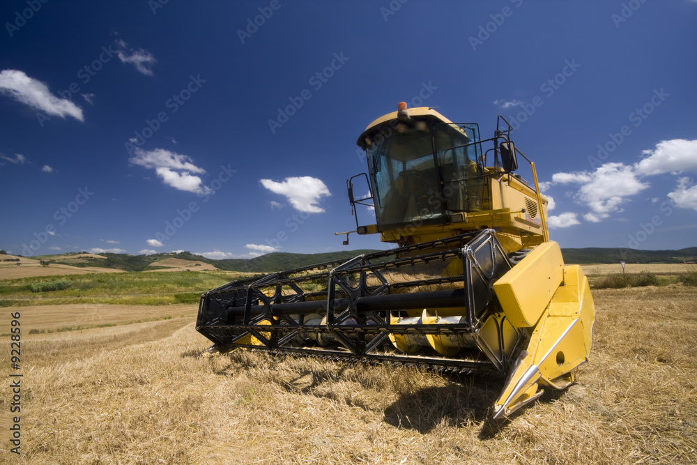 Fototapeta premium Harvester on blue