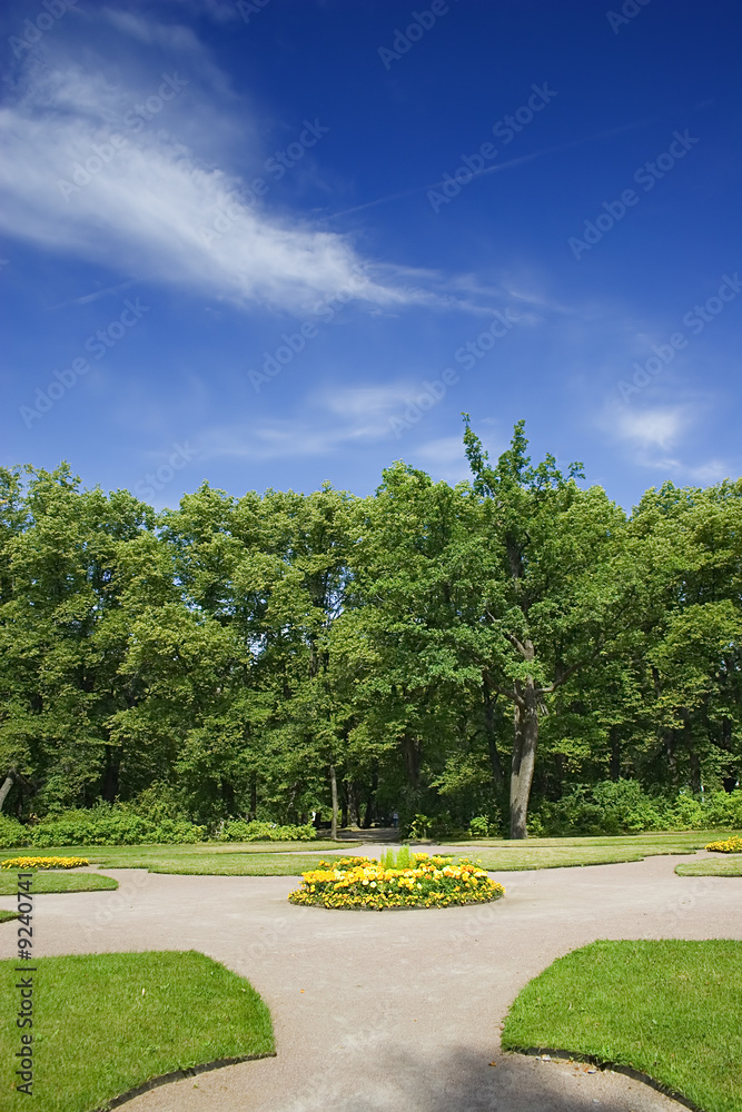 Obraz premium trees and flower-bed