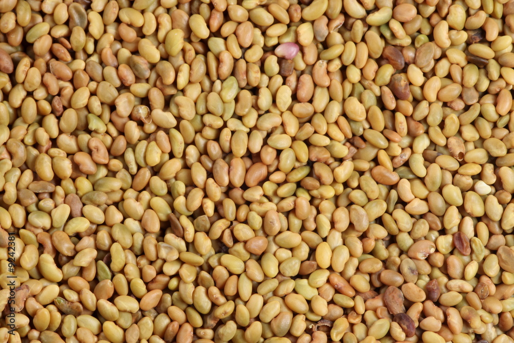 Colorful seeds mixture close-up background texture Colorful seeds mixture close-up background texture