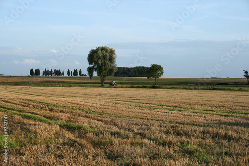 agriculture