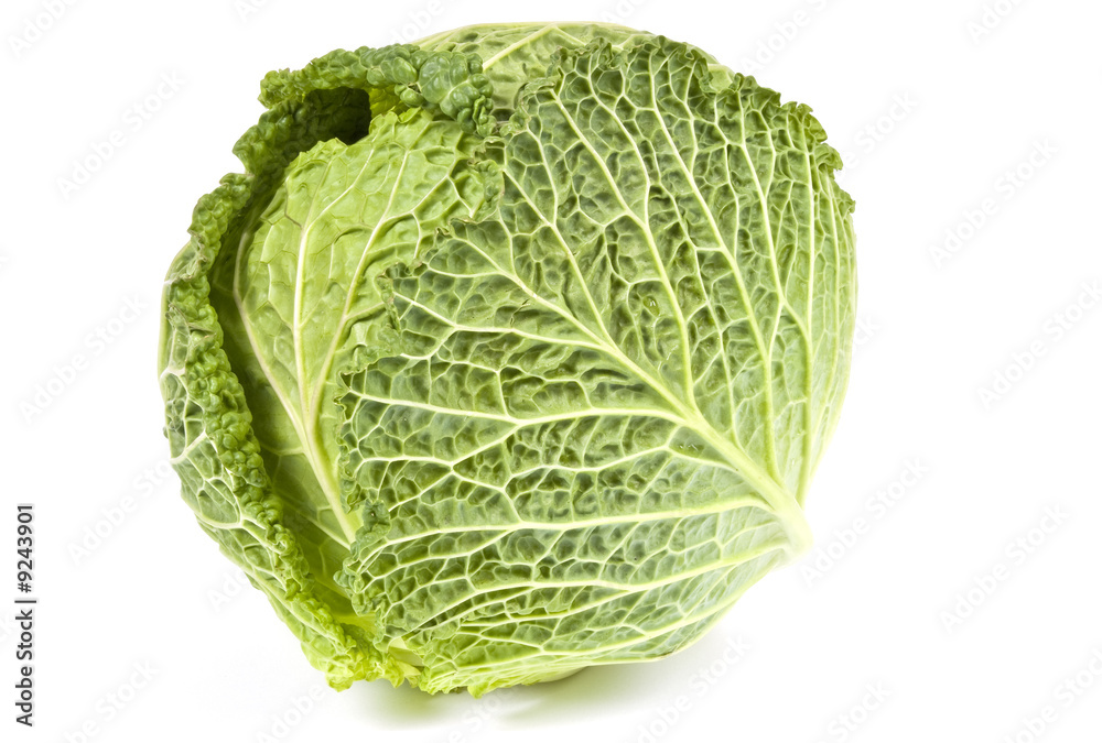 Savory Cabbage Isolated on White Savory Cabbage Isolated on White