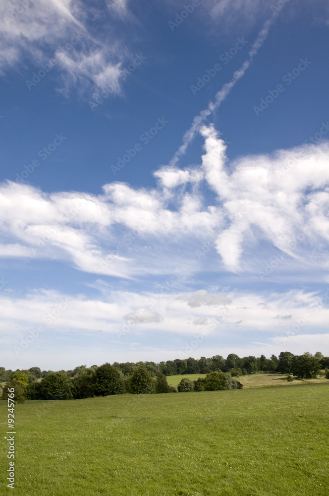 Fototapeta premium A view of parkland in summerwith a cloudy sky