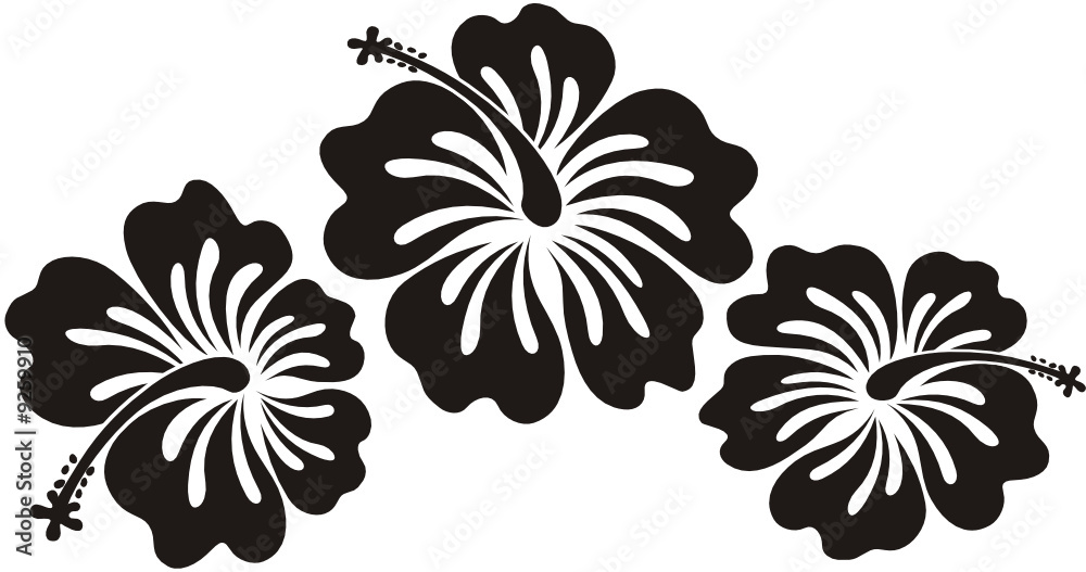 hawaian flowers