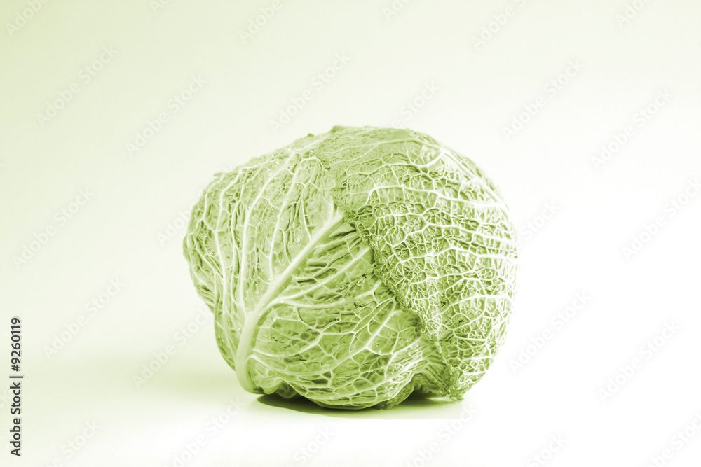 Head of green cabbage vegetable Head of green cabbage vegetable