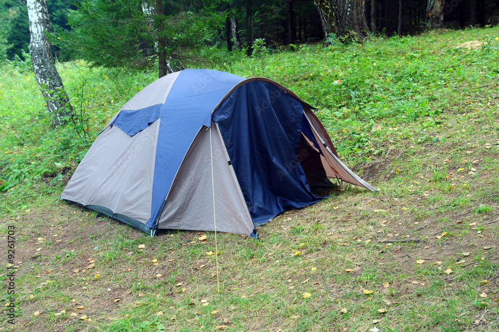 tent outdoors - camping in forest