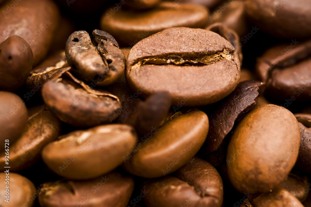 Fototapeta premium coffee beans