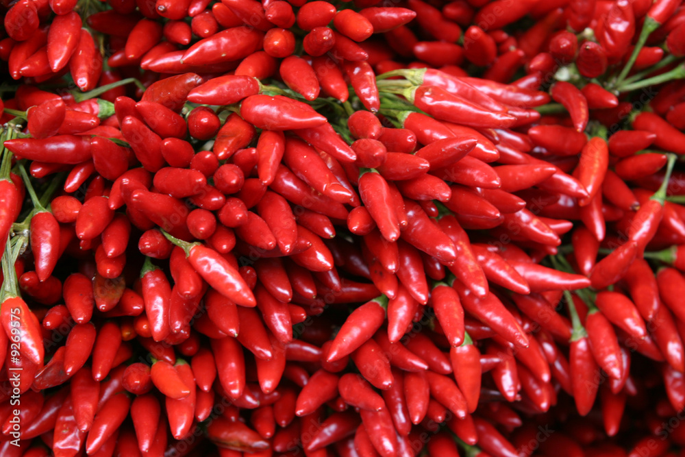chilli chilli