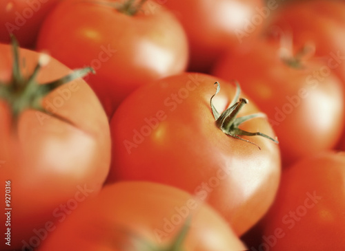 The group of Tomatoes