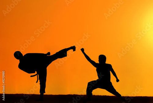 Black silhouette of two karate fighters on sunset