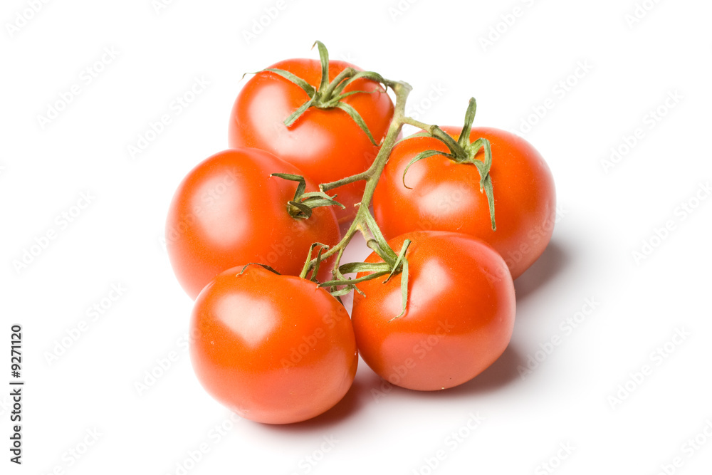 Fresh tomatoes on a white background