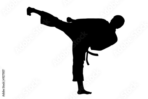 Black silhouette of  karate man kicking high