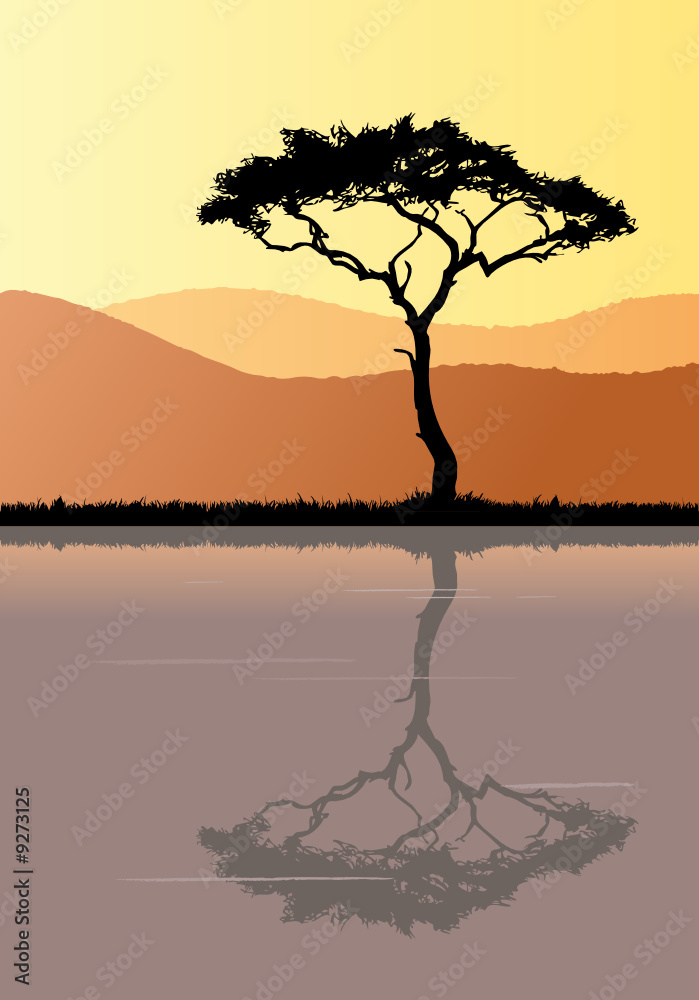 Tree Silhouette and Water