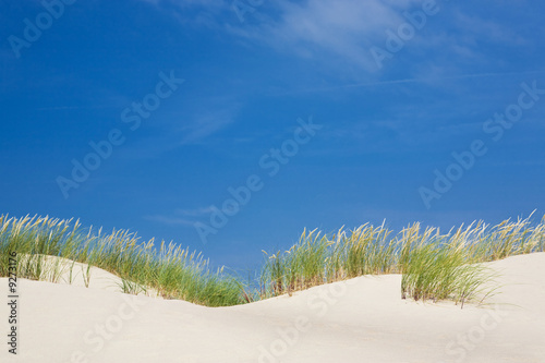 Photography View of desert and grass and blue sky..