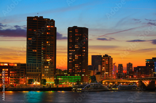 Rotterdam skyline at sunset © Ljupco Smokovski