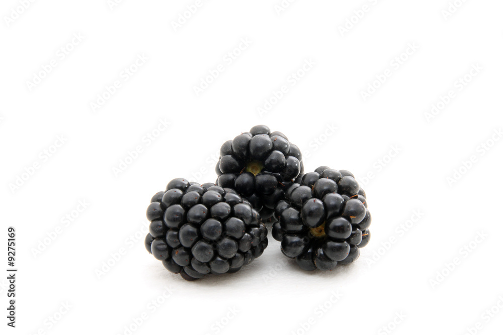 Group of plump, juicy blackberries ready to eat