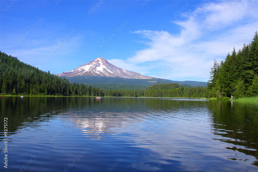 Obraz premium Mt. Hood at Trillium Lake in the summer
